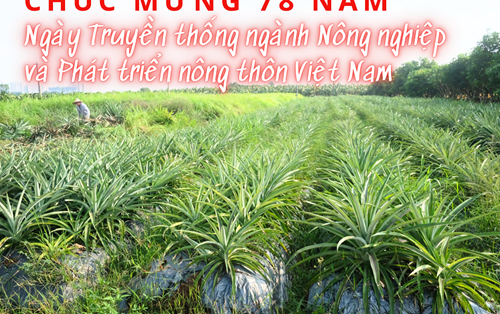 CHÚC MỪNG 78 NĂM NGÀY TRUYỀN THỐNG NGÀNH NÔNG NGHIỆP VÀ PHÁT TRIỂN NÔNG THÔN VIỆT NAM